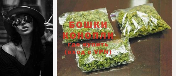 СК Богородицк