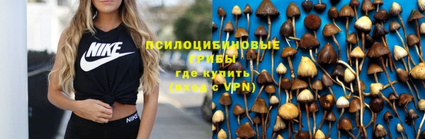крисы Богданович