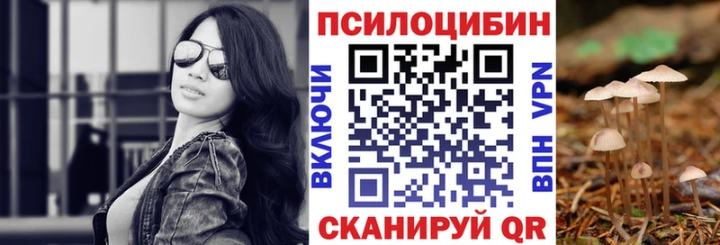 ОМГ ОМГ вход  Кизляр  Псилоцибиновые грибы Psilocybine cubensis 